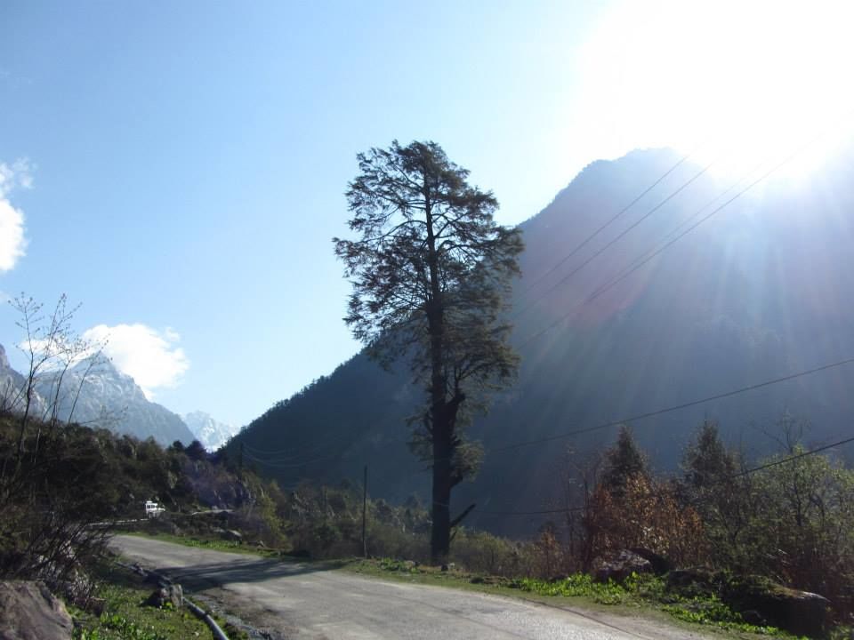 Photo of Sikkim: Hills Calling 36/158 by Mills Banerjee