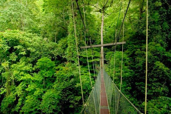 Photo of Sarawak Malaysia by Ragini Puri