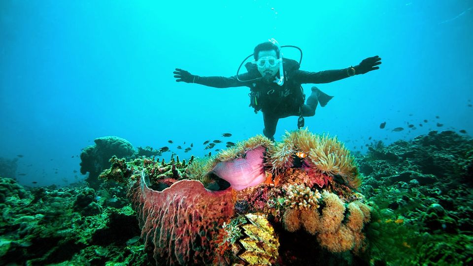 Photo of Terengganu Malaysia by Ragini Puri
