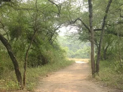 Photo of Sanjay Van, New Delhi, Delhi, India by Ragini Puri