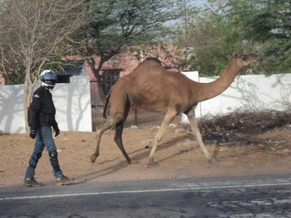 Photo of Pune-Leh-Pune Bike Road Trip Of 6506 km 15/49 by Vineet Gupta
