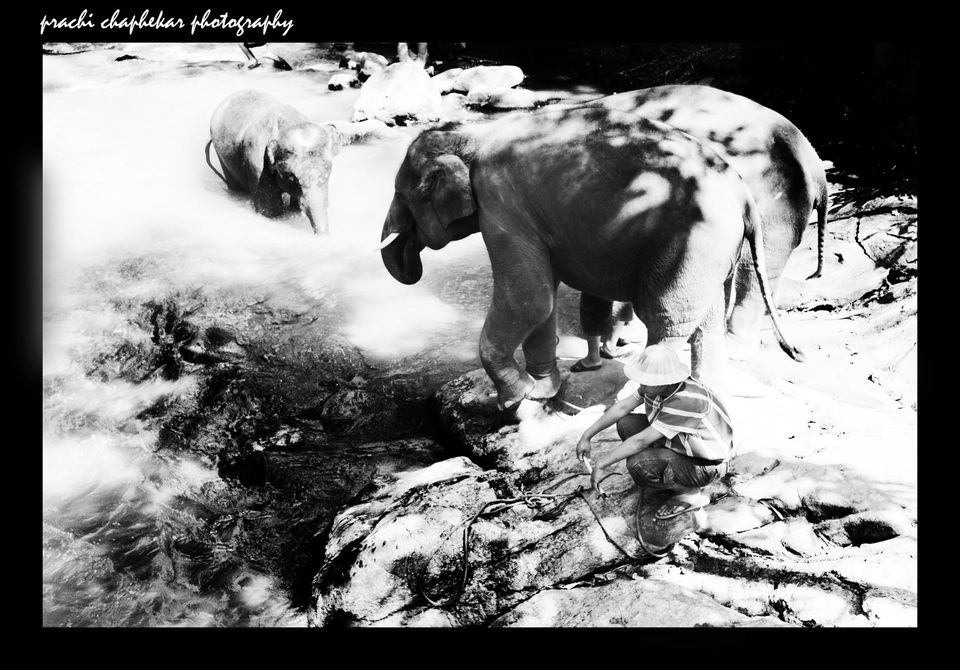 Photo of Thailand by Prachi Chaphekar