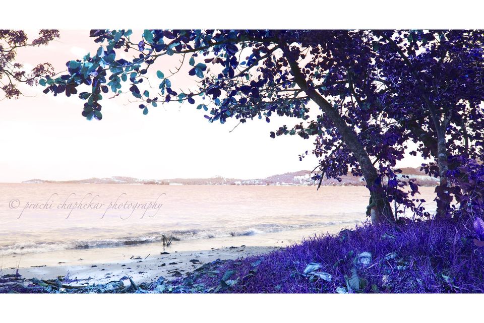 Photo of Thailand by Prachi Chaphekar