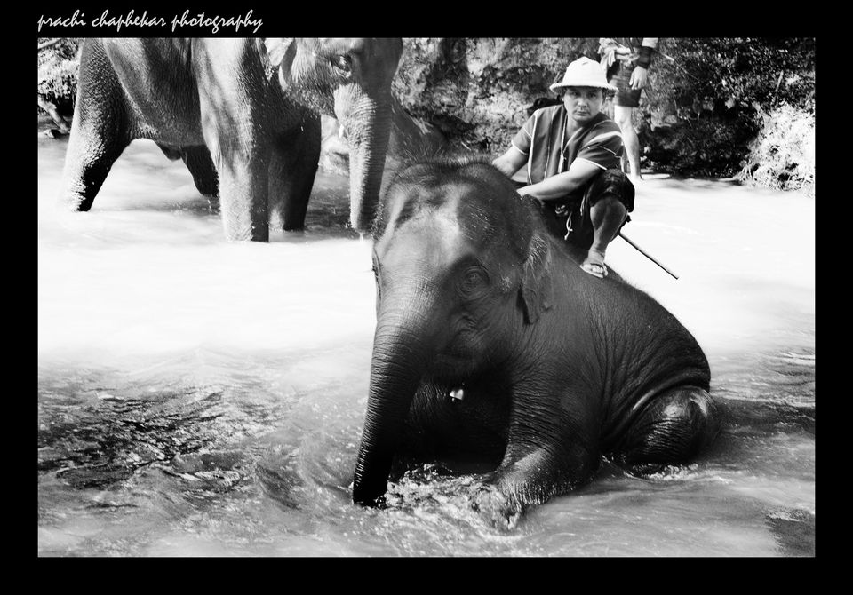 Photo of Thailand by Prachi Chaphekar