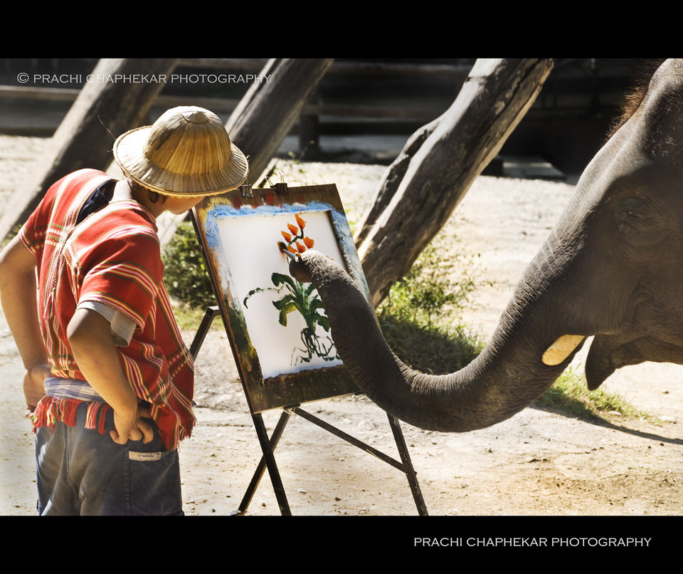 Photo of Thailand by Prachi Chaphekar