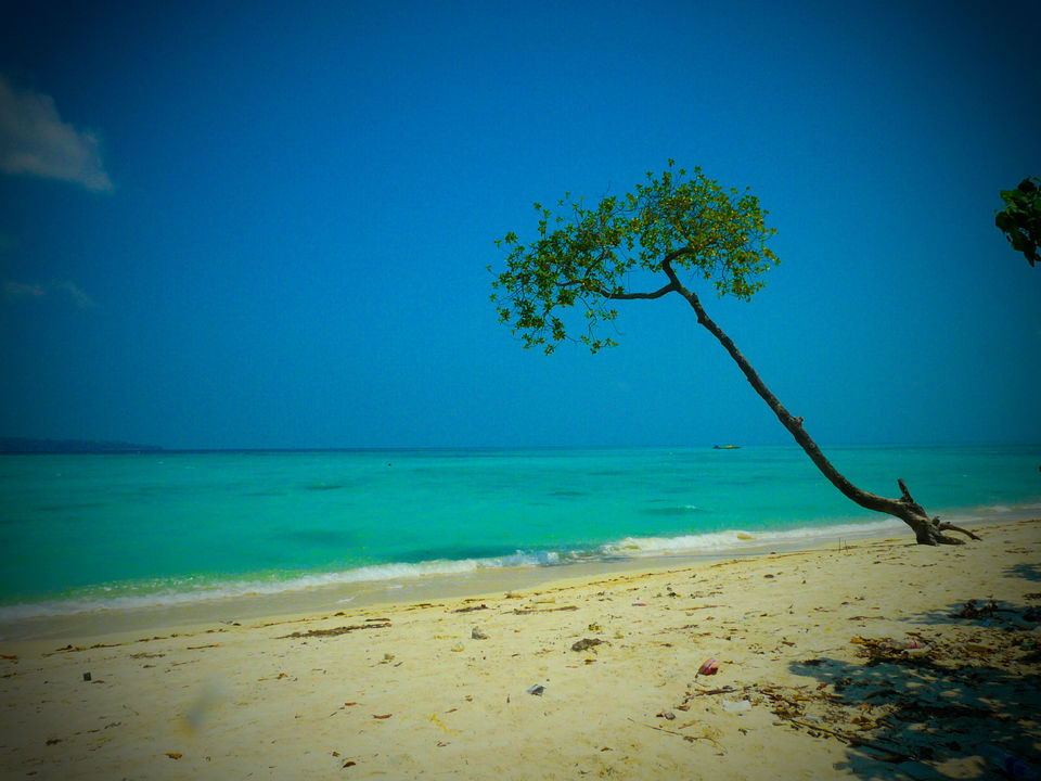 Photo of Havelock Island, South Andaman, Andaman and Nicobar Islands, India by Swapnil Pai