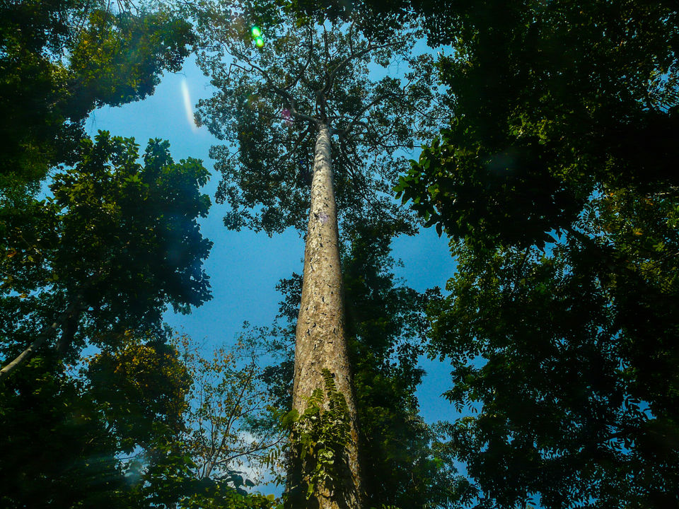 Photo of Mount Harriet National Park, Port Blair, Andaman and Nicobar Islands, India by Swapnil Pai