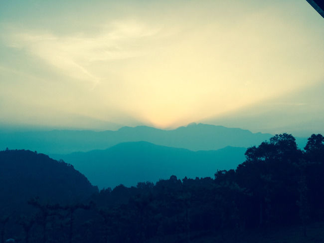 Photo of Wild Planet Jungle Resort, Devala, Tamil Nadu, India by Yashwanth Kumar Reddy