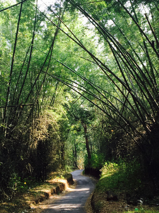 Photo of Wild Planet Jungle Resort, Devala, Tamil Nadu, India by Yashwanth Kumar Reddy