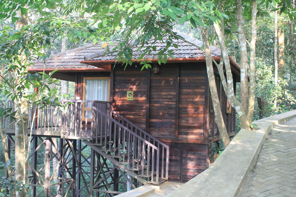 Photo of Wild Planet Jungle Resort, Devala, Tamil Nadu, India by Yashwanth Kumar Reddy