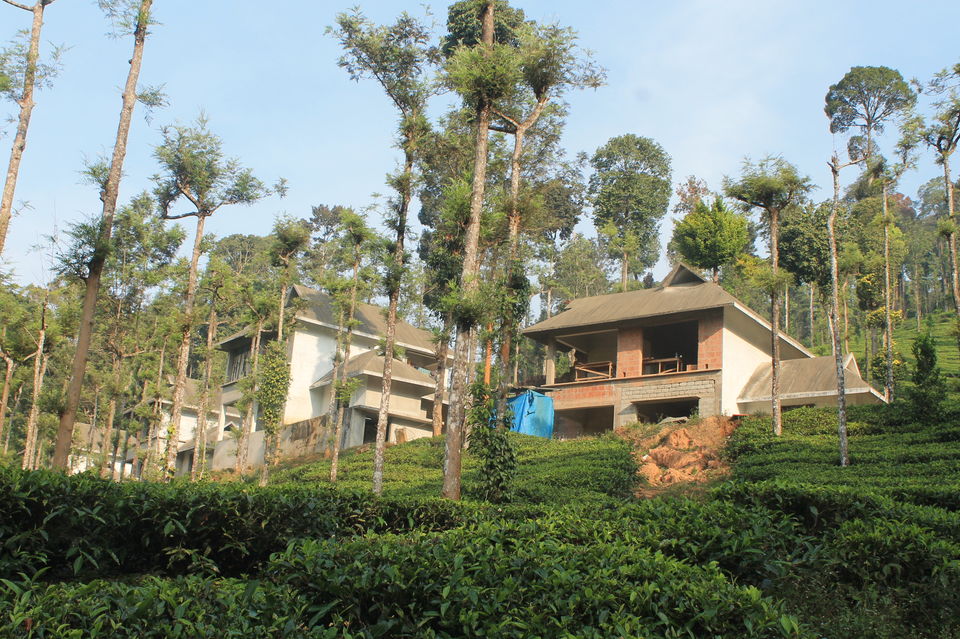 Photo of Wild Planet Jungle Resort, Devala, Tamil Nadu, India by Yashwanth Kumar Reddy