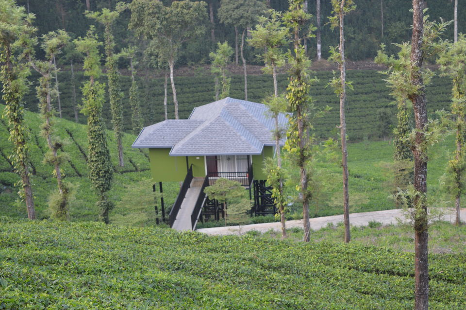 Photo of Wild Planet Jungle Resort, Devala, Tamil Nadu, India by Yashwanth Kumar Reddy