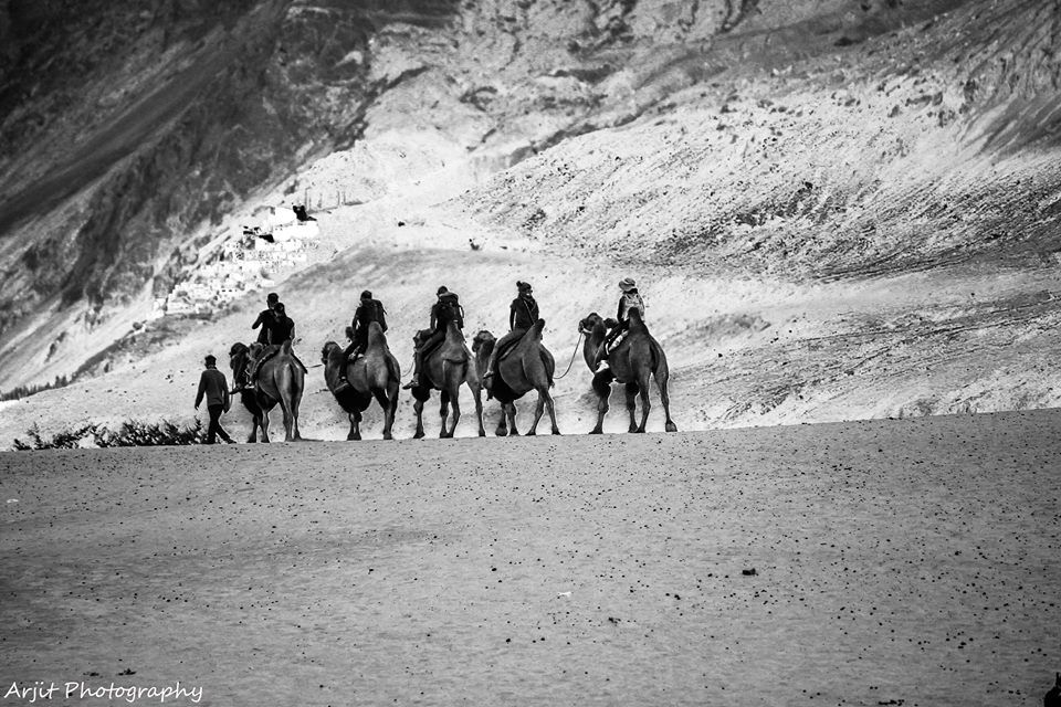 Photo of Hunder Sand Dunes by Arjit Anand