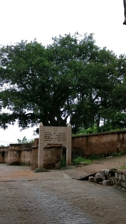 Photo of Orcha- Describing Glory of Bundelas by Archana Relan