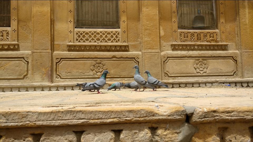 Photo of Jaisalmer- Fort, Havelis and Sand dunes by Archana Relan