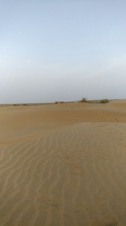 Photo of Jaisalmer- Fort, Havelis and Sand dunes by Archana Relan