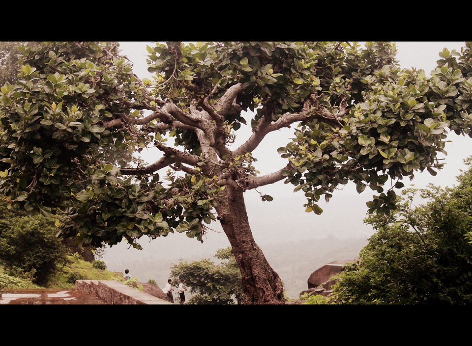 Photo of Mandu: Hidden & Forgotten Tale of Love 13/51 by Archana Relan
