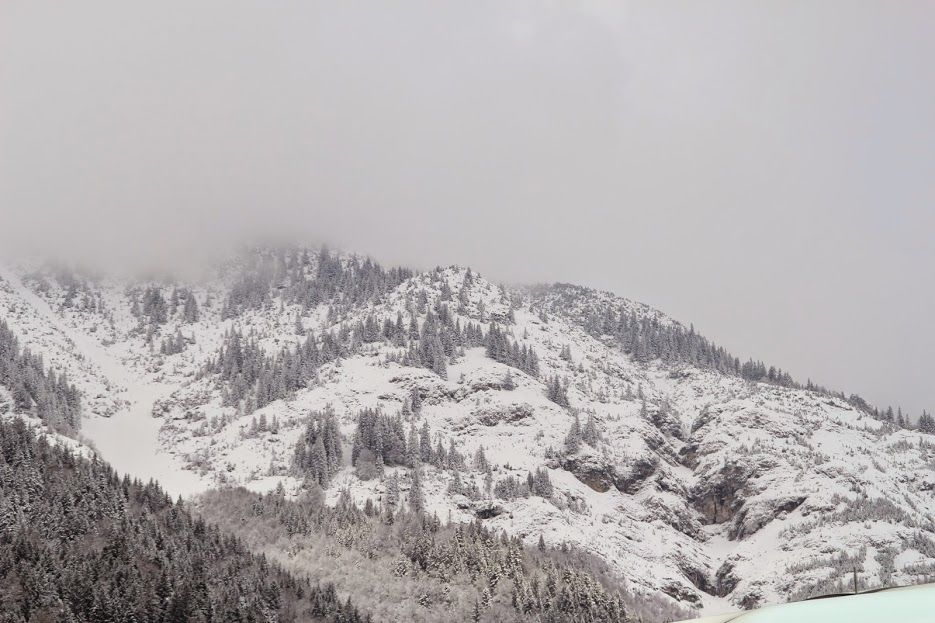 Photo of Budget backpacking across Central and Eastern Europe 15/47 by Neha Bhise Sadalge