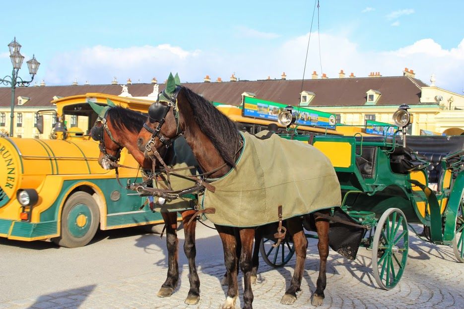 Photo of Budget backpacking across Central and Eastern Europe 21/47 by Neha Bhise Sadalge