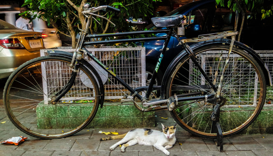 Photo of A foodie's journey through the streets of Mumbai 9/30 by Neha Bhise Sadalge