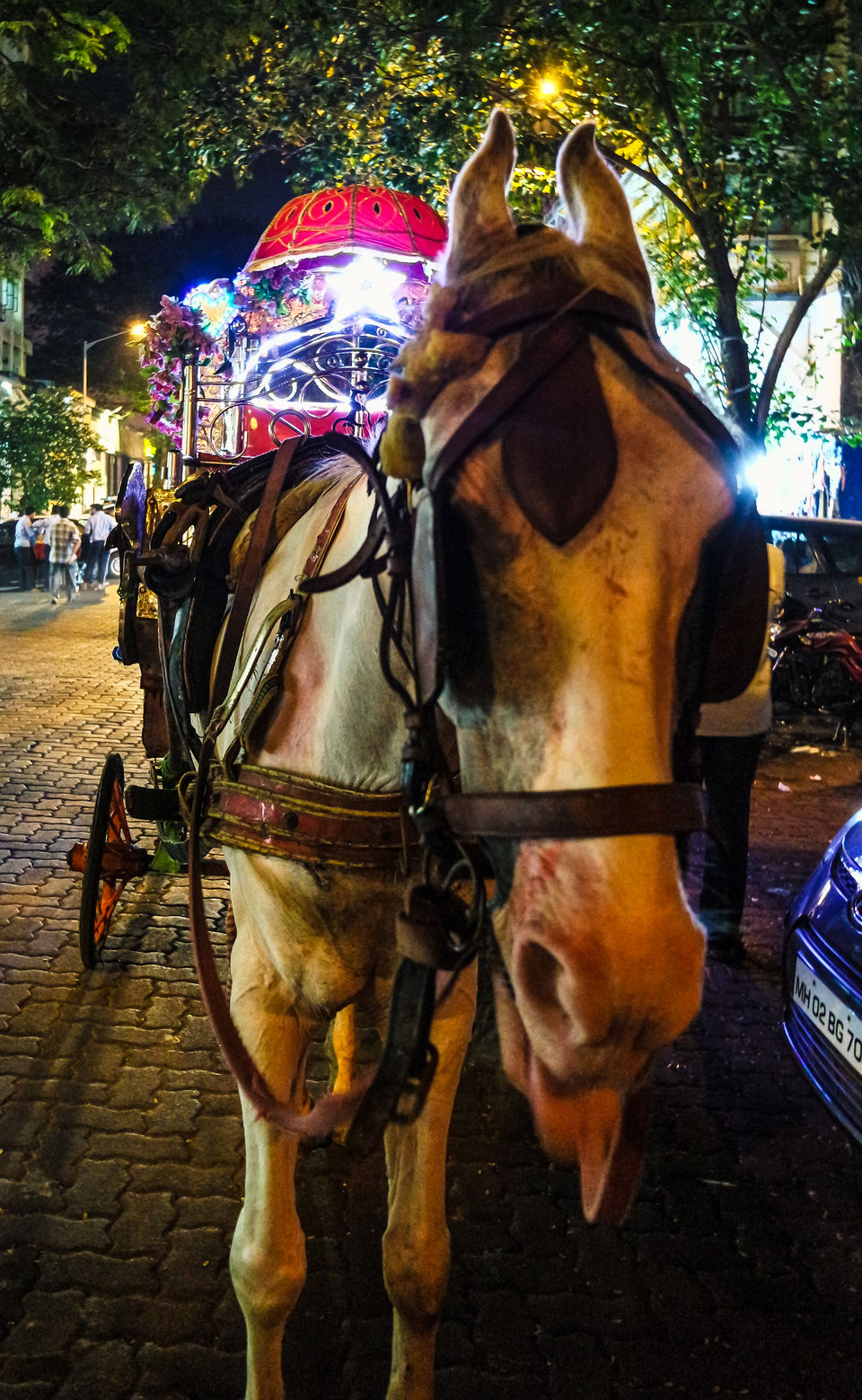 Photo of A foodie's journey through the streets of Mumbai 13/30 by Neha Bhise Sadalge