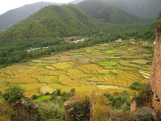 Photo of Bhutan- The perfect international biking destination #pilliondiaries 6/47 by Neha Bhise Sadalge