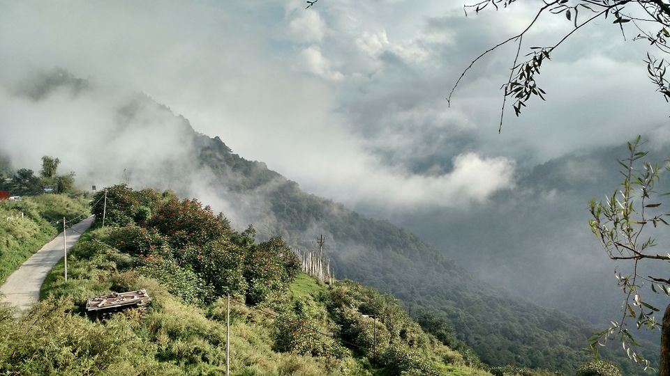 Photo of Bhutan- The perfect international biking destination #pilliondiaries 32/47 by Neha Bhise Sadalge