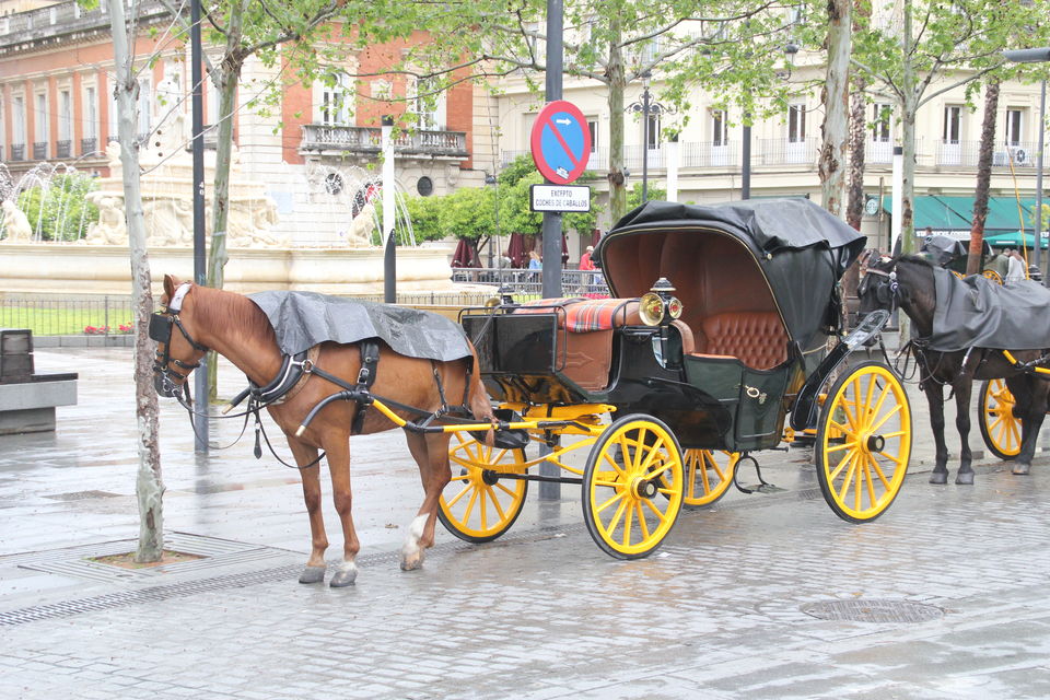 Photo of Last minute budget backpacking in Spain-Portugal! 42/48 by Neha Bhise Sadalge