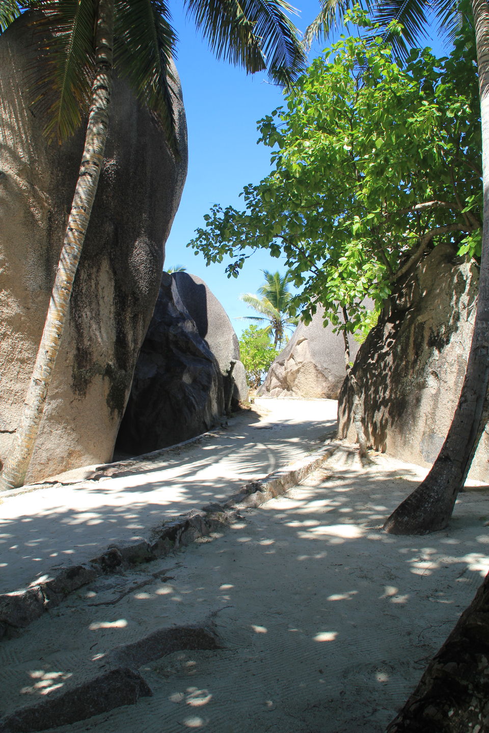 Photo of La Digue, Seychelles by Neha Bhise Sadalge