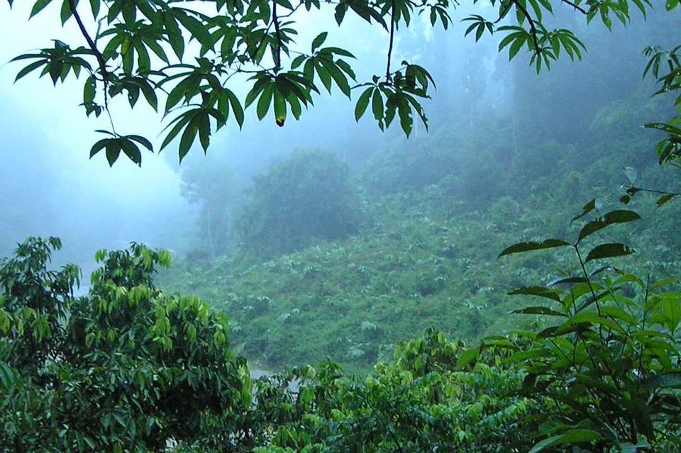Photo of Kalimantan Timur, Indonesia by Neha Bhise Sadalge