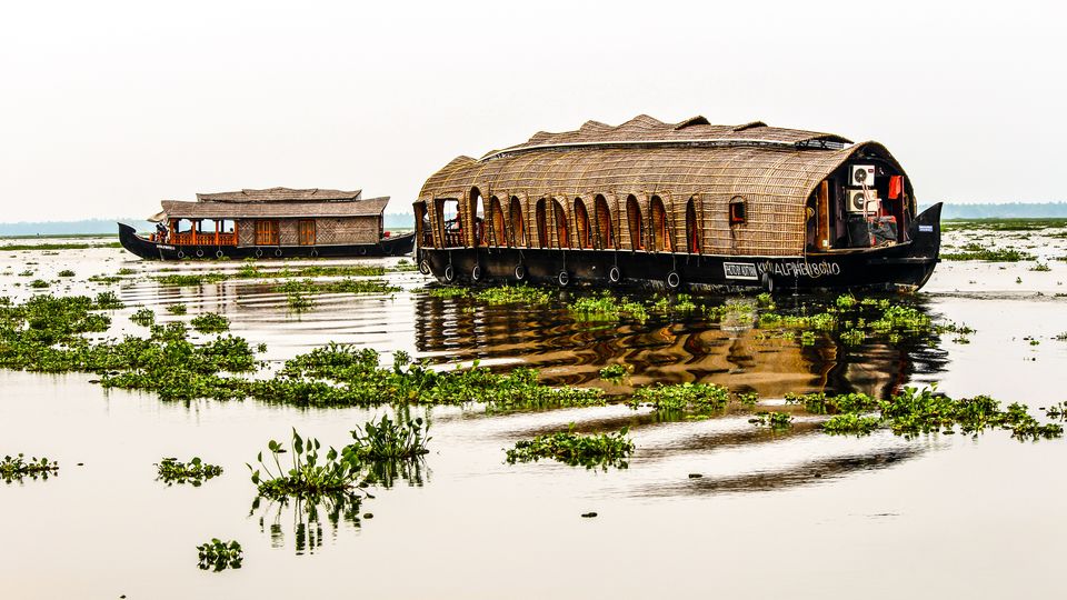 Photo of Alleppey, Kerala, India by Neha Bhise Sadalge