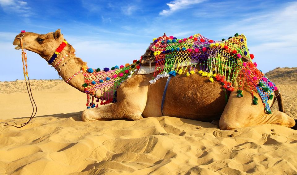 Photo of Pushkar, Rajasthan, India by Neha Bhise Sadalge