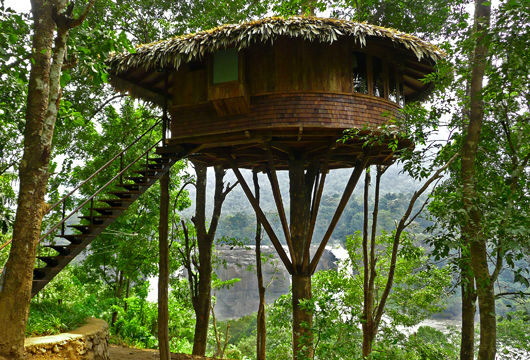 Photo of This Treehouse resort in Kerala is located at the edge of Asia's largest waterfalls! by Neha Bhise Sadalge