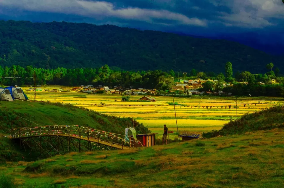 Photo of Ziro by Neha Bhise Sadalge