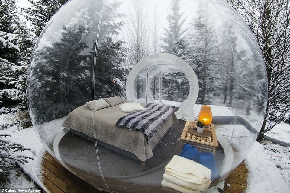 Photo of Watch millions of stars light up the sky from this bubble shaped hotel! by Neha Bhise Sadalge