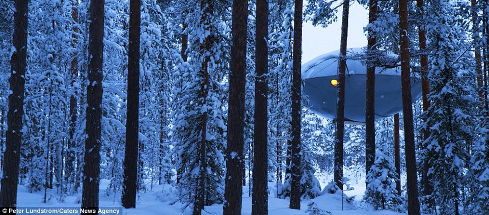 Photo of This is not a drill: You can now stay in a UFO! by Neha Bhise Sadalge