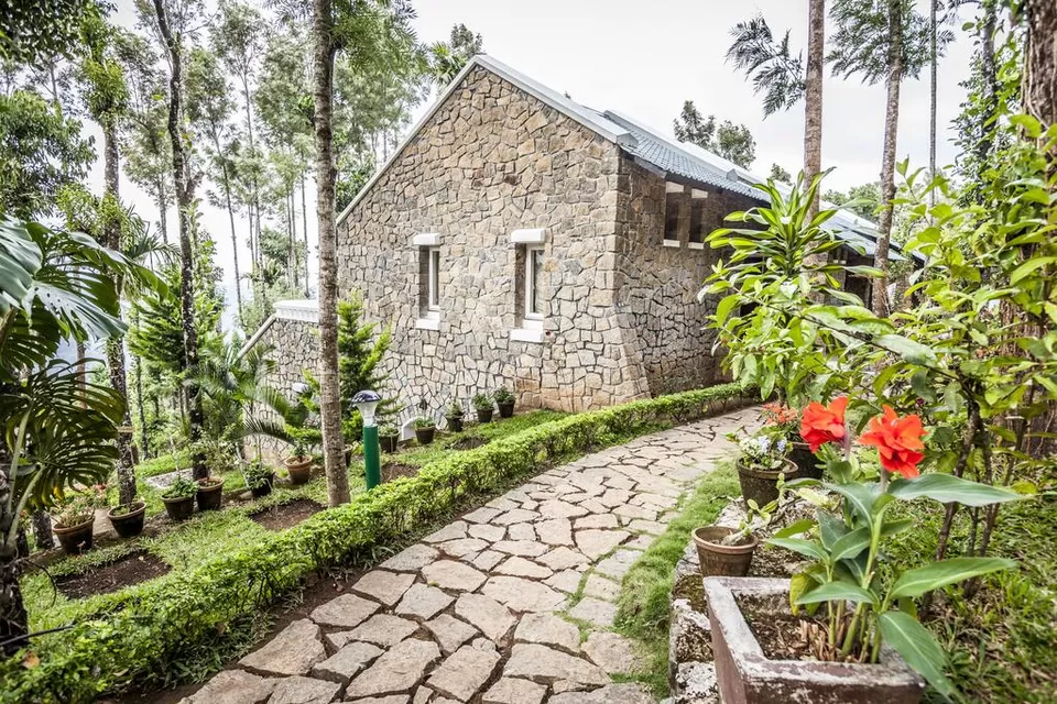 Photo of Munnar, Kerala, India by Neha Bhise Sadalge