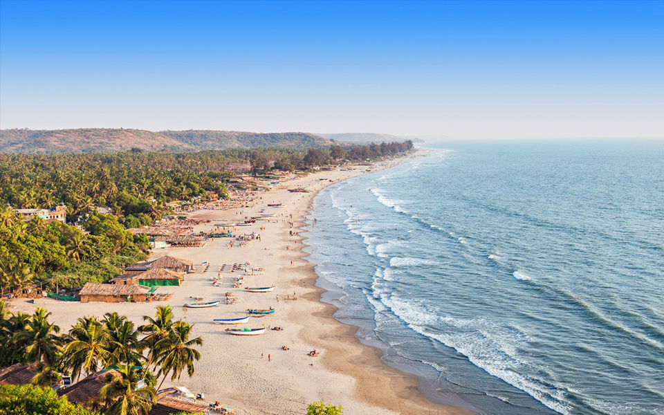 Photo of You Can Now Get a Free Beer In Goa in Exchange Of Trash Collected From The Beach! by Neha Bhise Sadalge