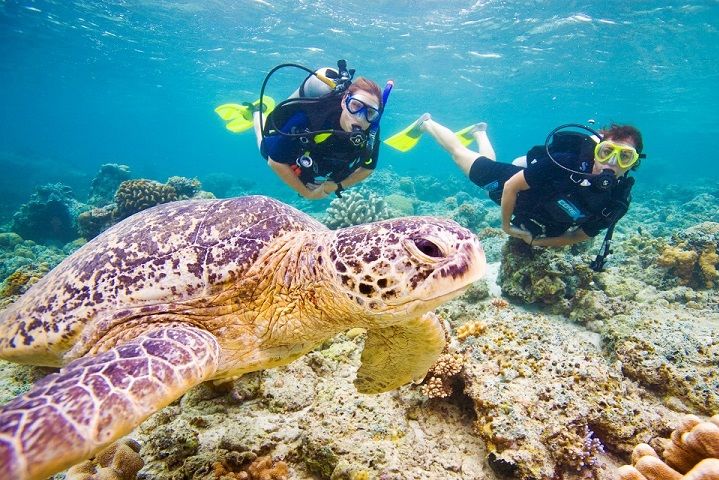 Photo of You Can Soon Enjoy Snorkelling on Konkan Beaches! by Neha Bhise Sadalge