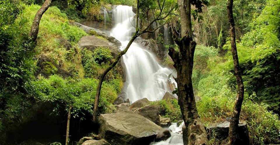 Photo of This Resort In Wayanad Is Asia's Largest Earth Resort by Neha Bhise Sadalge