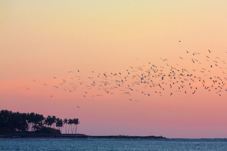 Photo of Not Goa Or Gokarna, This Unexplored Beach In Maharashtra Should Be Your Next Getaway! by Neha Bhise Sadalge