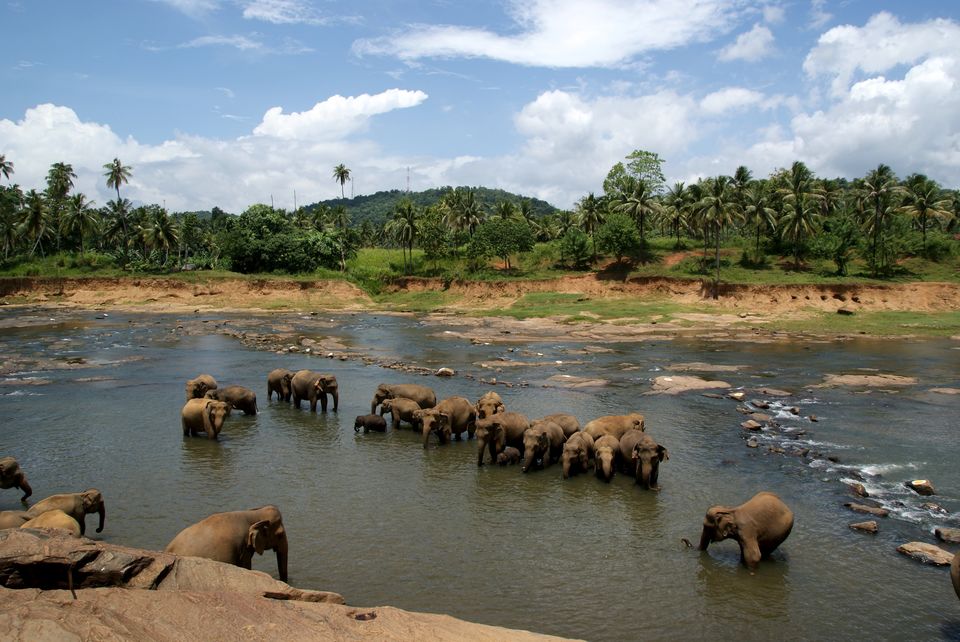 Photo of Sri Lanka by Neha Bhise Sadalge