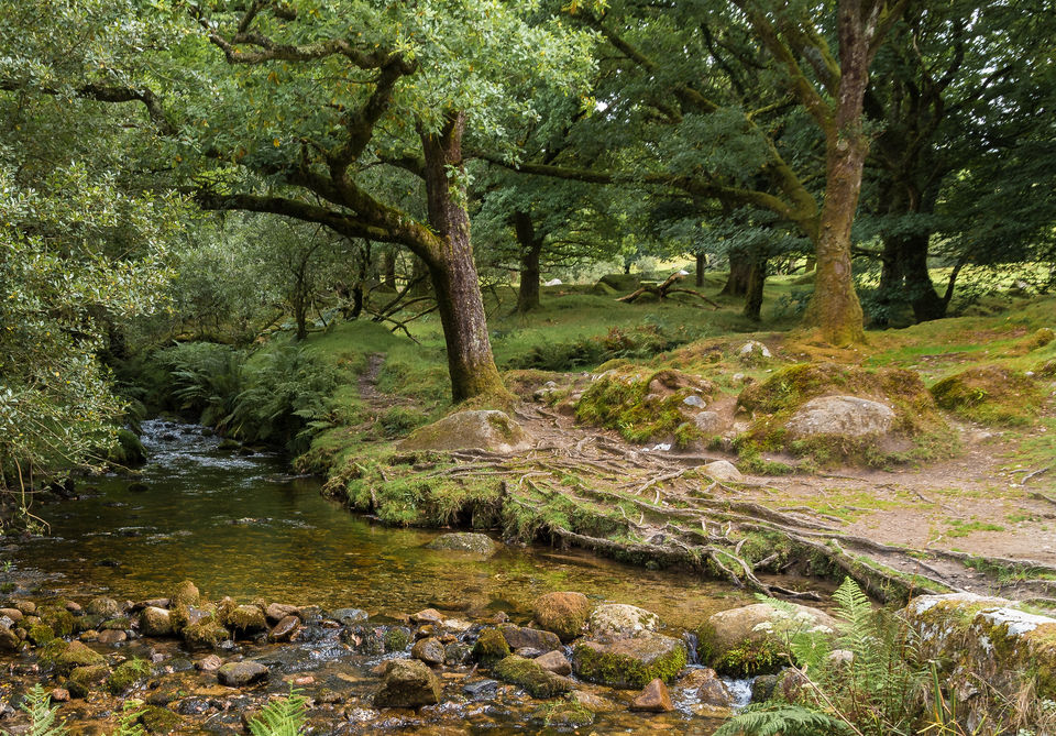 Photo of Best Rivers To Camp Beside This Summer by Neha Bhise Sadalge