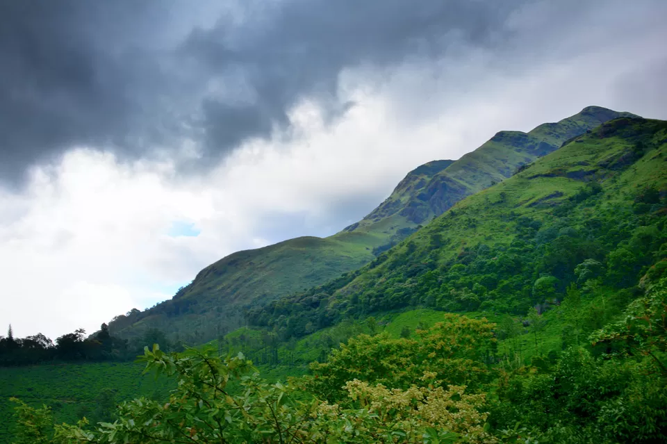 Photo of Wayanad, Kerala, India by Neha Bhise Sadalge