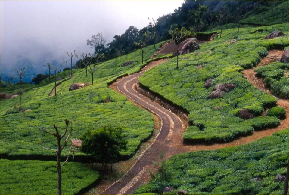 Photo of Ooty, Tamil Nadu, India by Neha Bhise Sadalge