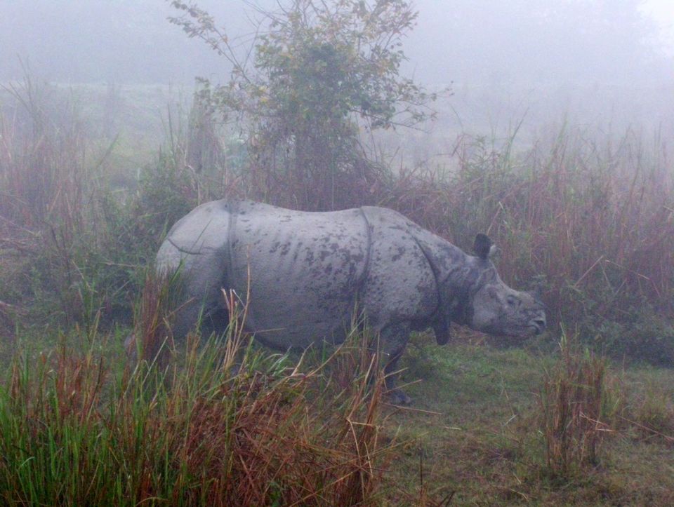 Photo of Assam, India by Neha Bhise Sadalge