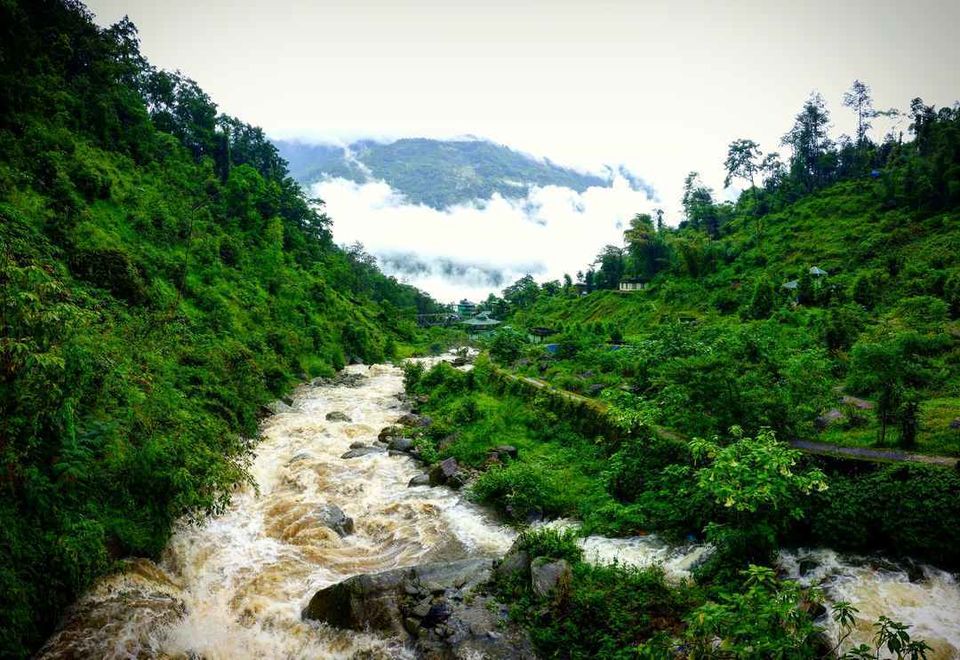 Photo of Sikkim Wins UN's Oscar for Best Policies to Become World's First Organic State by Neha Bhise Sadalge