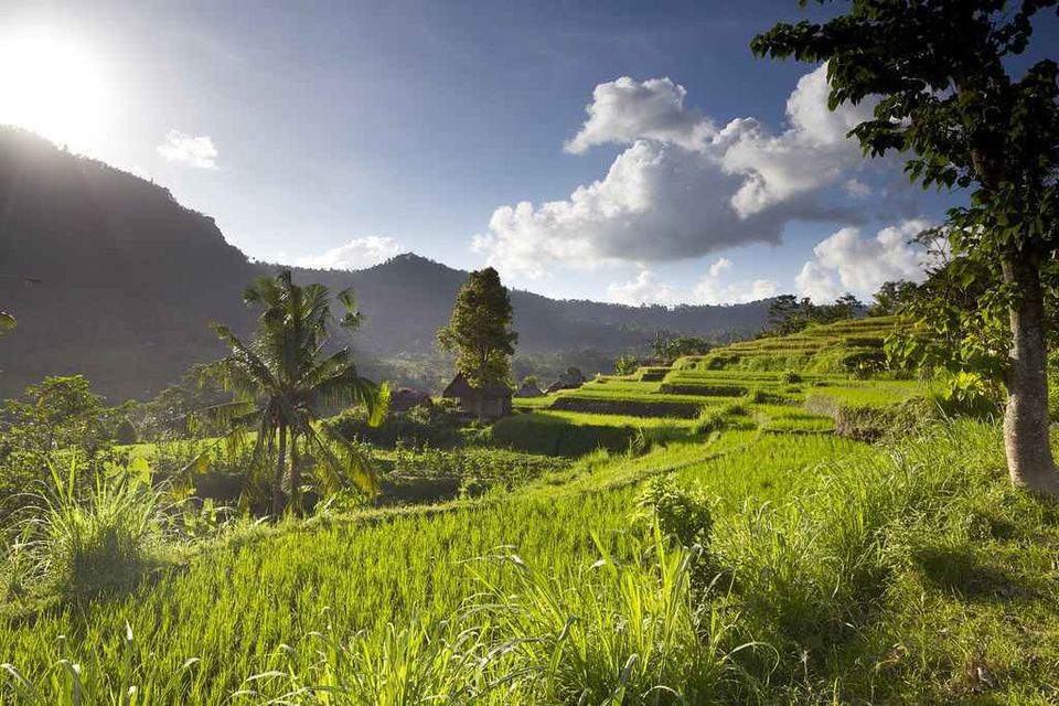 Photo of Indians Don't Visit This Underrated Town In Bali, But Really Should by Neha Bhise Sadalge