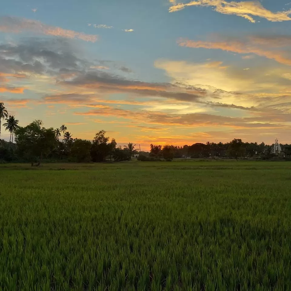 Photo of 100-year-old Portuguese homestay away from Goa's crowds by Neha Bhise Sadalge