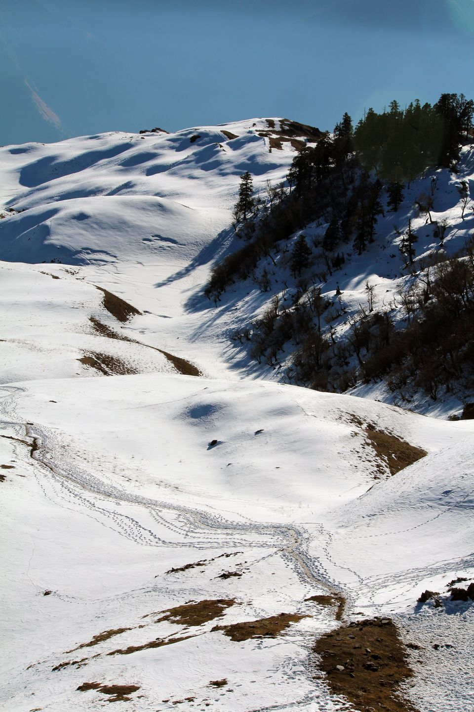 Photo of Heavy Snowfall in Higher Reaches of Uttarakhand Attracts Tourists From All Over 2/2 by Neha Bhise Sadalge